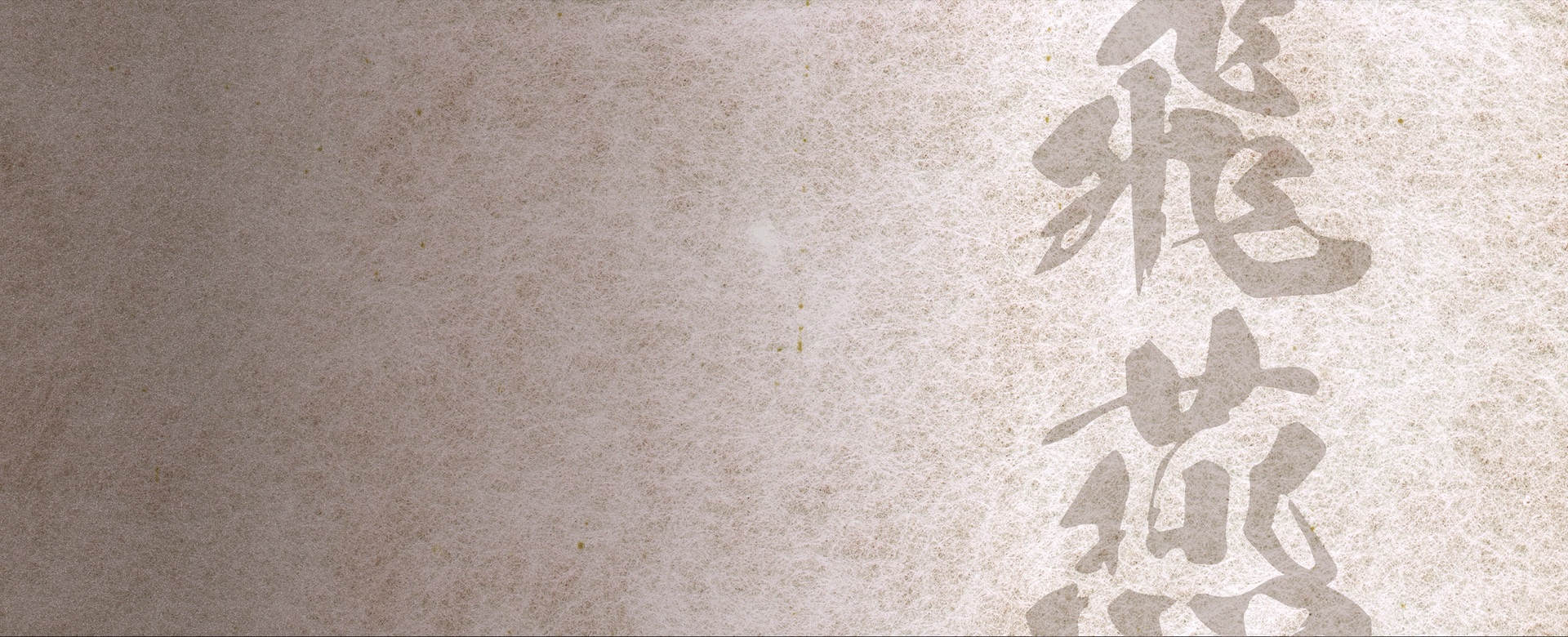 我流麺舞 飛燕 ラーメン 札幌 北海道